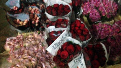 beykoz çiçek siparişi