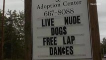 Animal shelter's 'free lap dances' sign helps get pets adopted