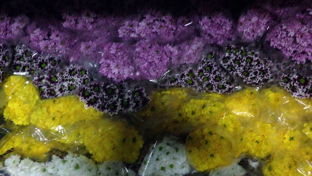 Bakırköy çiçek siparişi gönder me için en kaliteli Bakırköy çiçekçi sitesi.