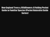 Read New England Trees & Wildflowers: A Folding Pocket Guide to Familiar Species (Pocket Naturalist