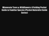 Read Minnesota Trees & Wildflowers: A Folding Pocket Guide to Familiar Species (Pocket Naturalist