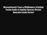 Read Massachusetts Trees & Wildflowers: A Folding Pocket Guide to Familiar Species (Pocket