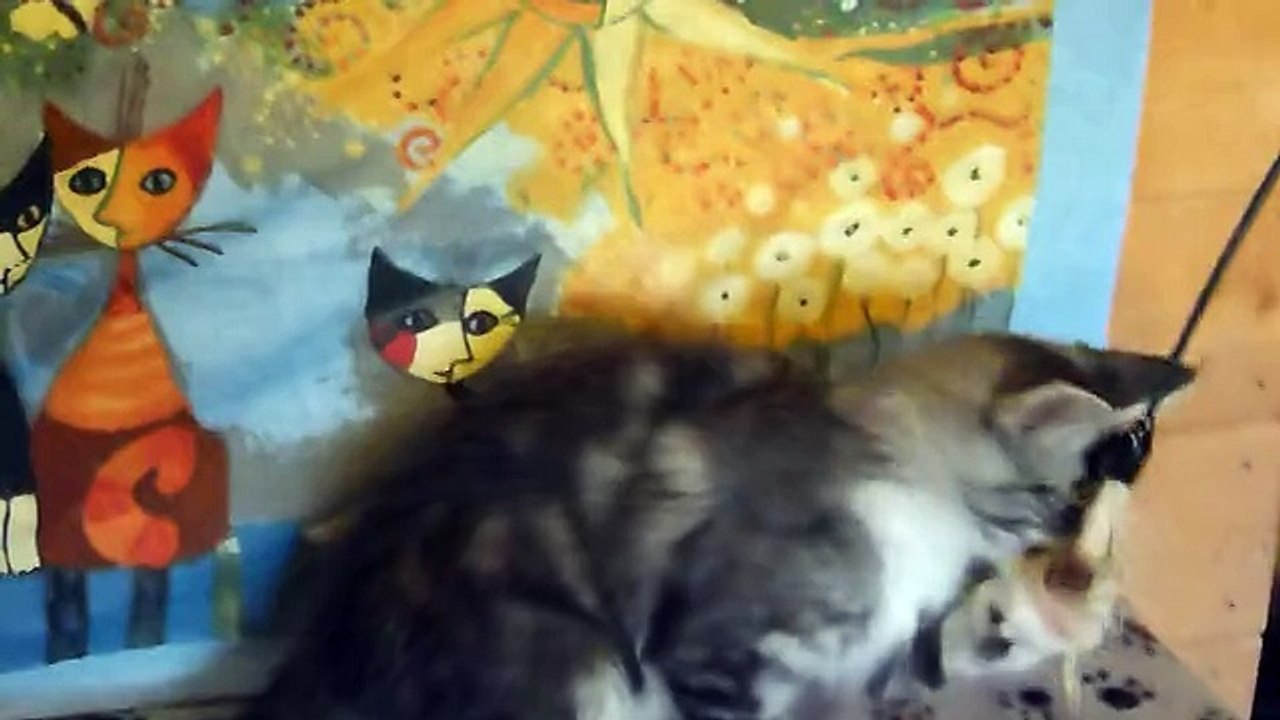 17-9-15  Léogan vidéo