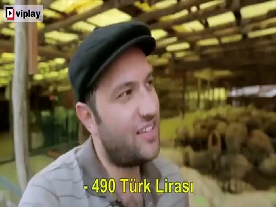 İngilizce Kurban Pazarlığı Nasıl Yapılır?