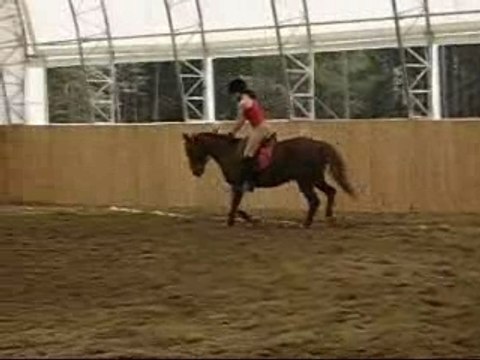 Moi et Canelle - Plat (trot)