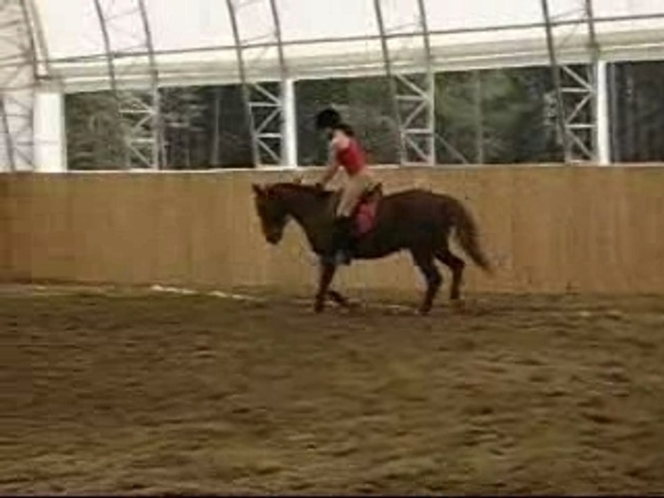 Moi et Canelle - Plat (trot)