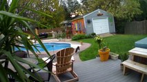 Black Cat Pushes Orange Cat Into Pool