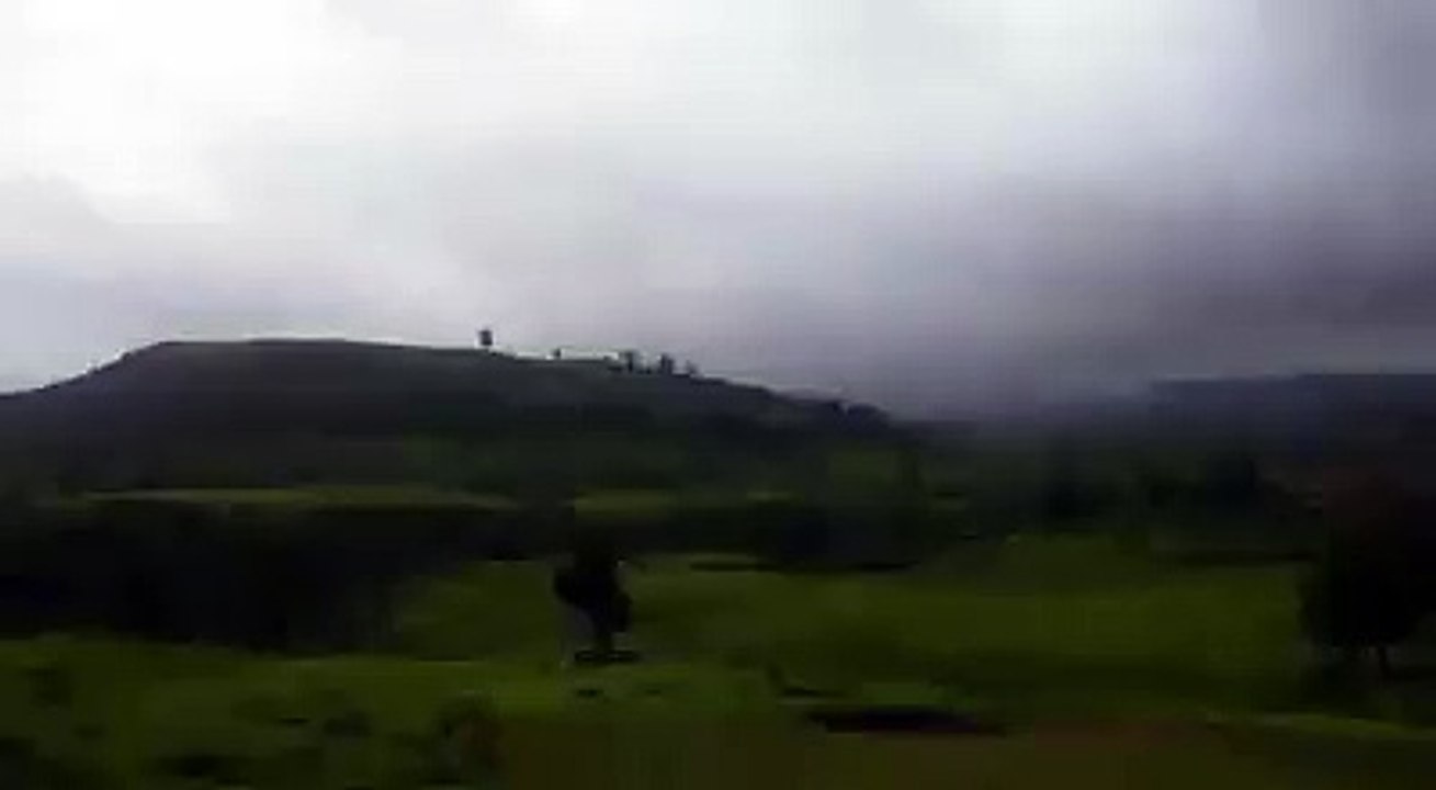 Nature View