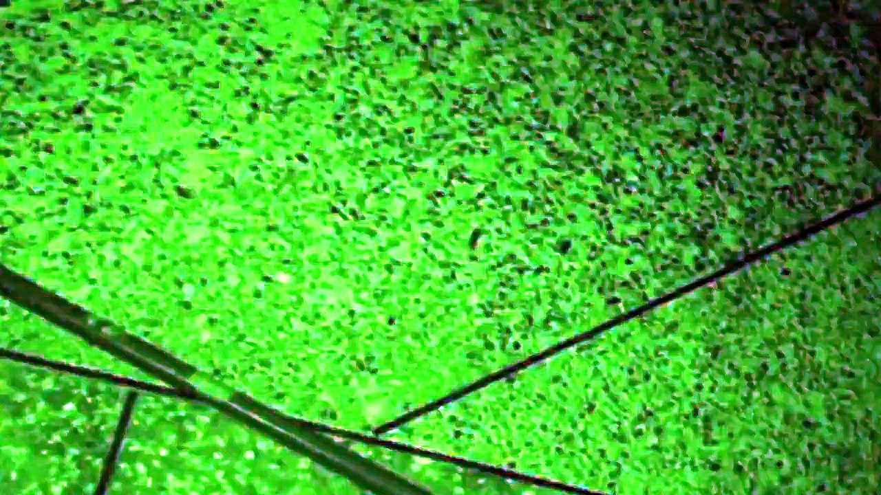 ghost hunting 2015 episode 1 part 2 horror show jinnat ki talash woh kia hai woh kya hai, undekha wajood September 2015