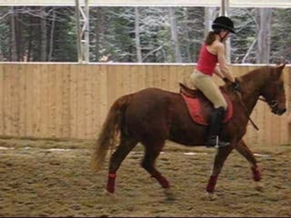 Moi et Canelle la Tulipe - Pas, trot