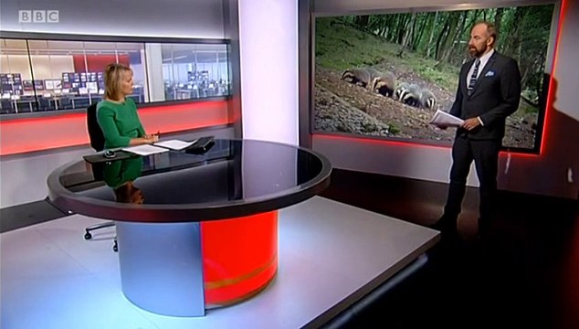 BBC1 Midlands Today 17Sep15 on the badger cull