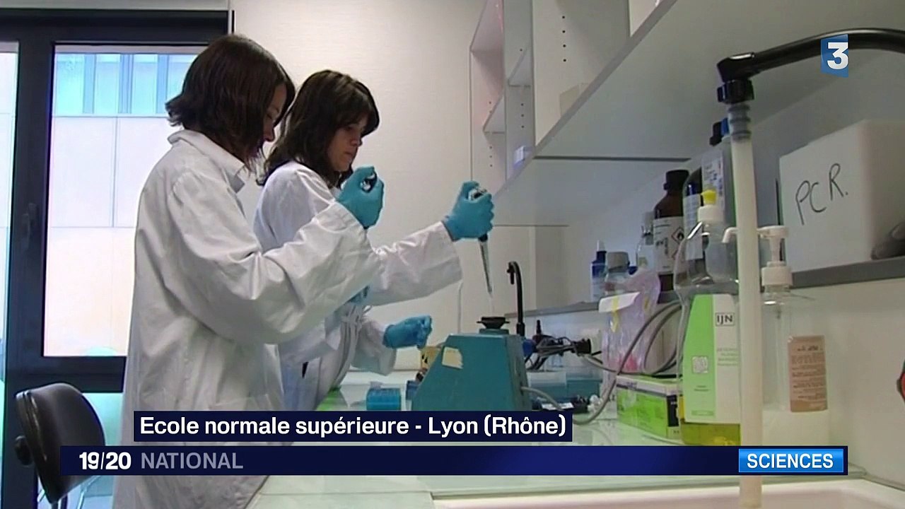 Les spermatozoïdes in vitro, peut-être un futur remède contre l'infertilité masculine