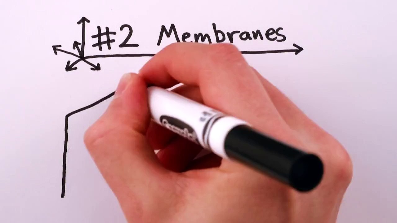 The True Science of Parallel Universes