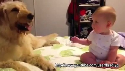 高武優一☆あかちゃんといぬ。癒されます。05