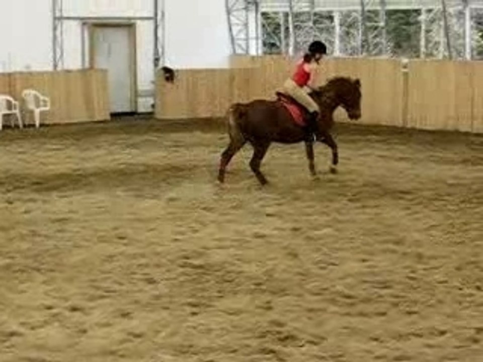 Moi et Canelle - Pas, Trot, Galop