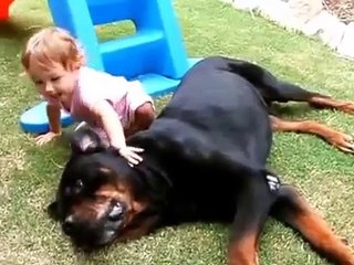 高武優一☆あかちゃんといぬ。癒されます。09