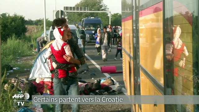 Frontière hongroise: les migrants espèrent une seconde chance