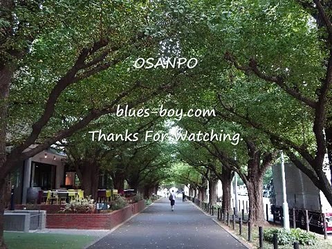 fits　出会い　新たな素敵なカフェとスイーツ＆ミュージック動画集4