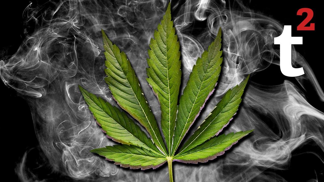 How Does Marijuana Work?