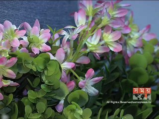 যানজট কমাতে রিং-রোডের পরামর্শ বিশেষজ্ঞদের