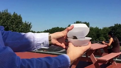 Un homme redonne sa liberté à un petit oiseau