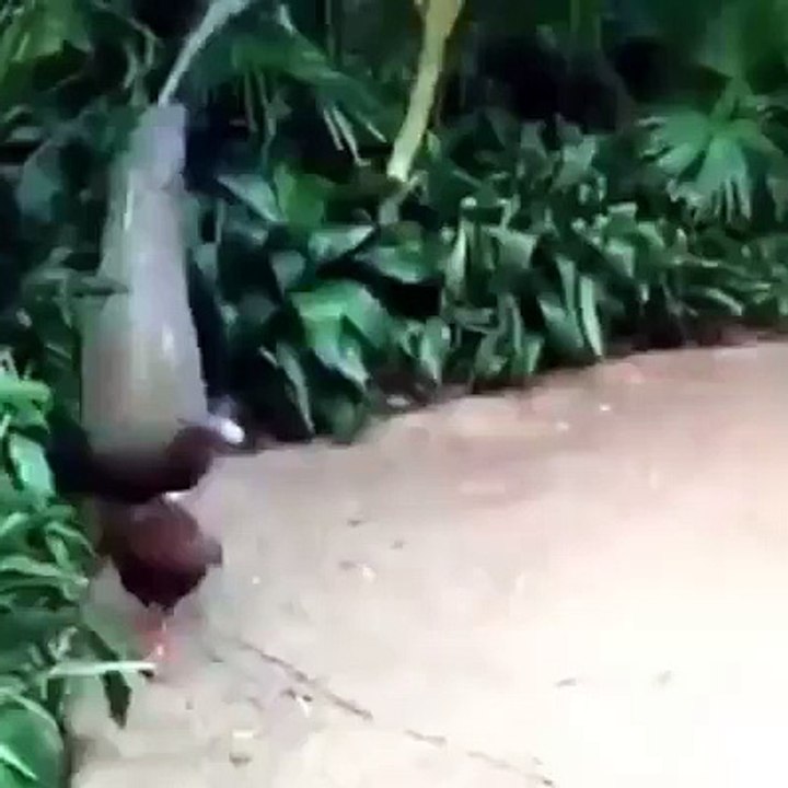 Allah ki Qudrat.