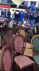 Des "supporters" de Marseille détruisent un café à Groningen