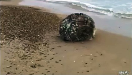 Цунами Японии вынесло на берег неопознанный объект.