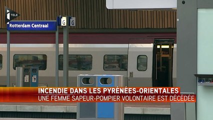 Crainte d'attentat : Une partie de la gare de Rotterdam évacuée
