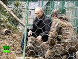 Putin enters leopard cage at Sochi National Park