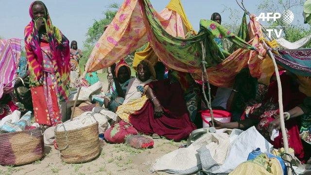 WFP: Boko Haram violence increases regional humanitarian crisis