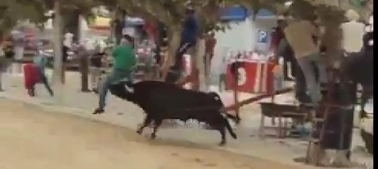 Boğanın boynuz darbeleri öldürdü