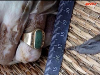 Hành Trình Phá Án-Án mạng trong đêm lạnh