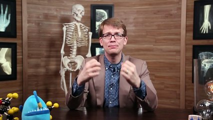 The Nervous System - Biology #2 Part 1