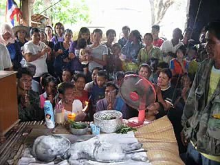 Buffalo Gave Birth to a Human Baby in Thailand