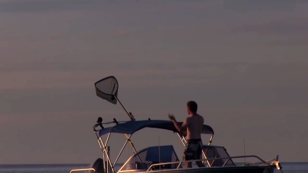 Best Cricket Trick Shot Ever!
