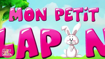 Mon petit lapin 'Cherchez moi coucou coucou'