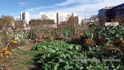 Plaine Commune Terre fertile, un territoire à découvrir