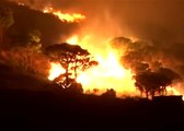 L'incendie meurtrier dans les Pyrénées orientales, à travers nos télés