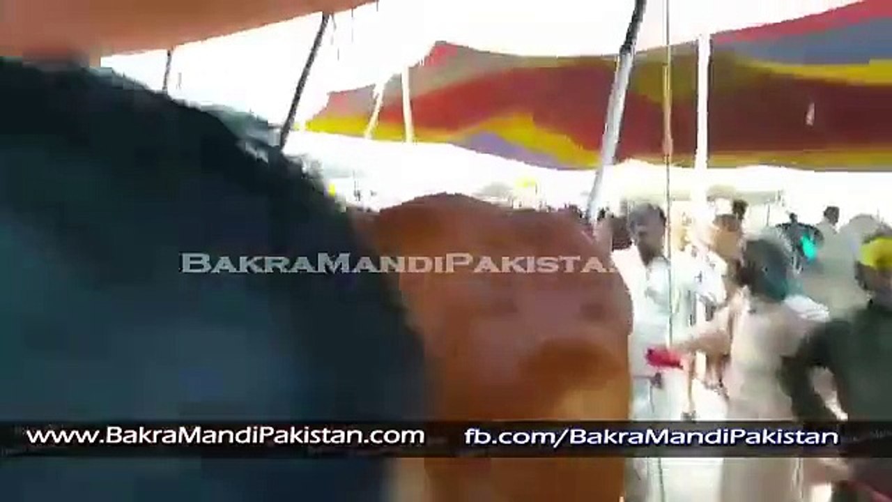 1 Crore ke Demand Wali Jori