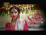 Meray Jevan Sathi Episode 6 Full 3 September 2015