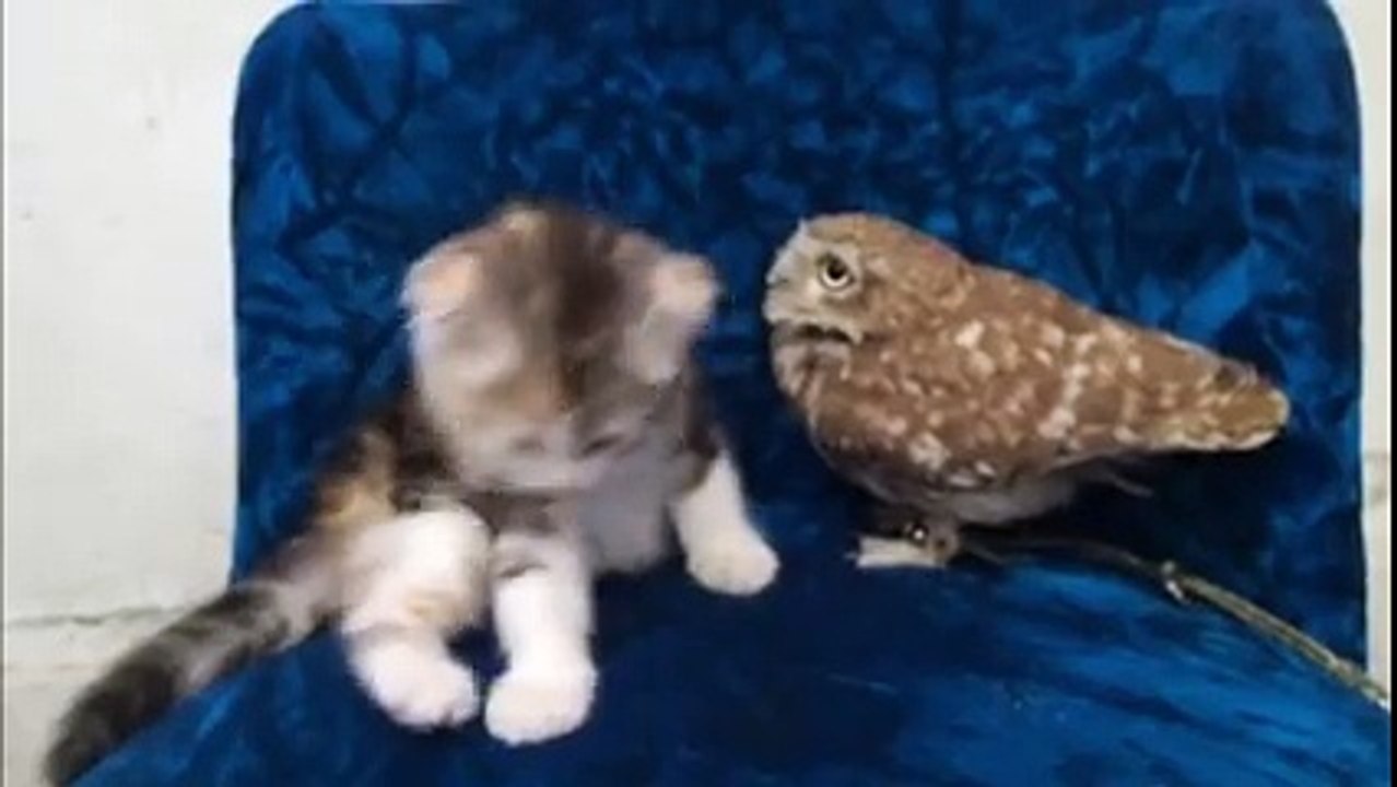 friendship