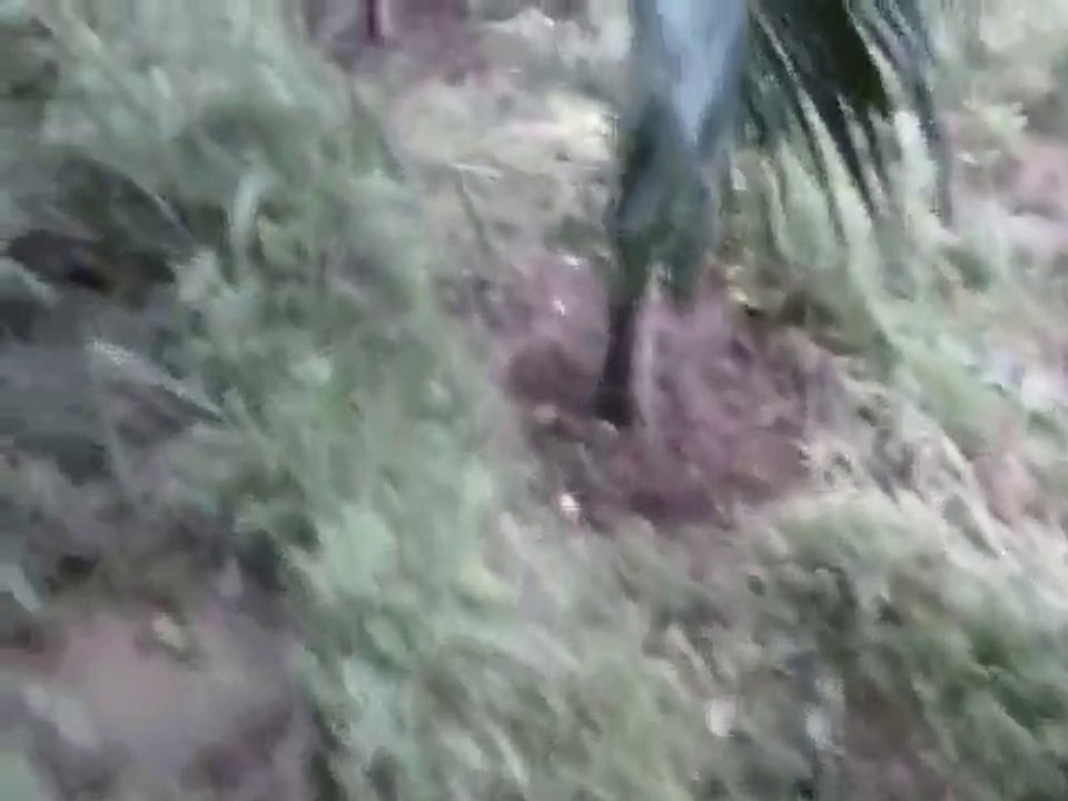 pakistan sex student hot 2015