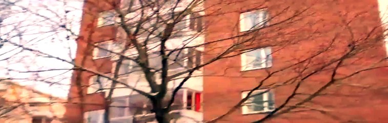 Un snowboarder se rattrape de justesse en faisant un front flip!