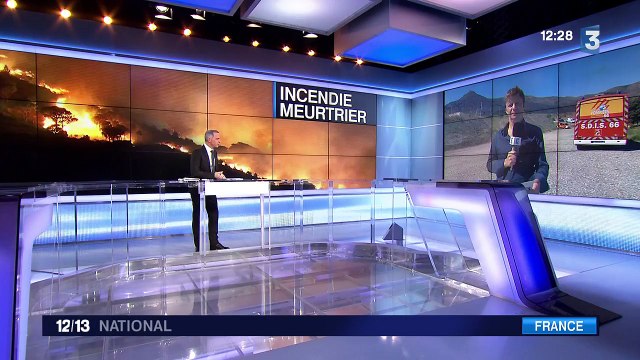 Pyrénées-Orientales : l'incendie est-il d'origine criminelle ?