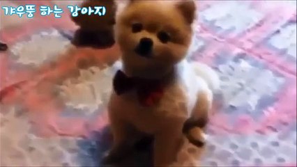 화정출장안마↔O1O-2156-4202◁▷분당출장안마オ《수원출장안마》リ