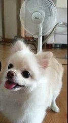 안양출장안마◁▷O1O-2156-4202◁▷분당출장안마う《수원출장안마》り짱짱걸