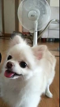 안양출장안마◁▷O1O-2156-4202◁▷분당출장안마う《수원출장안마》り짱짱걸