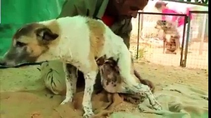 fantastic and amazing (9)