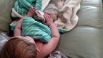 Tierno : bebé y gatito se despiertan juntos de la siesta.